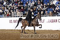 09usn-10423 proof