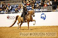 09usn-10101 proof