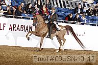 09usn-10112 proof