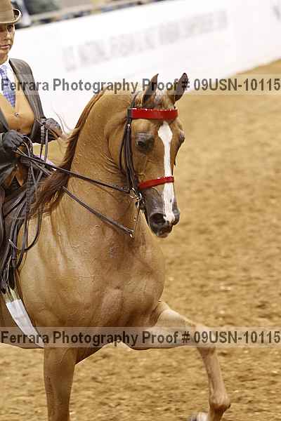Proof 09usn-10115
