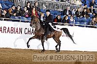 09usn-10123 proof