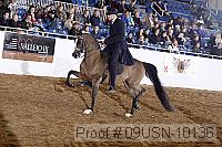 09usn-10136 proof