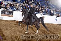 09usn-10138 proof