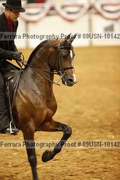 Proof 09usn-10142