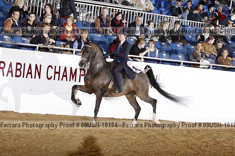 Proof 09usn-10184