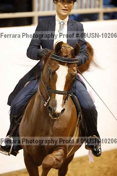 Proof 09usn-10206