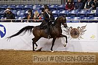 09usn-00535 proof
