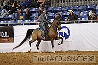 09usn-00538 proof