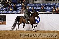 09usn-00546 proof
