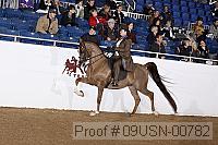 09usn-00782 proof