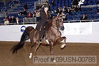 09usn-00788 proof