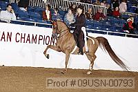09usn-00793 proof