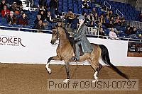09usn-00797 proof