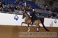 09usn-00803 proof