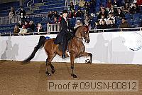 09usn-00812 proof