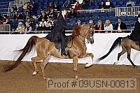 09usn-00813 proof