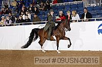09usn-00816 proof
