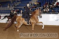 09usn-00818 proof