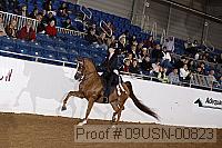 09usn-00823 proof