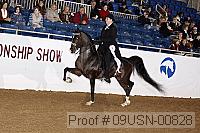 09usn-00828 proof