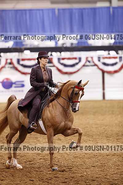 Proof 09usn-01175
