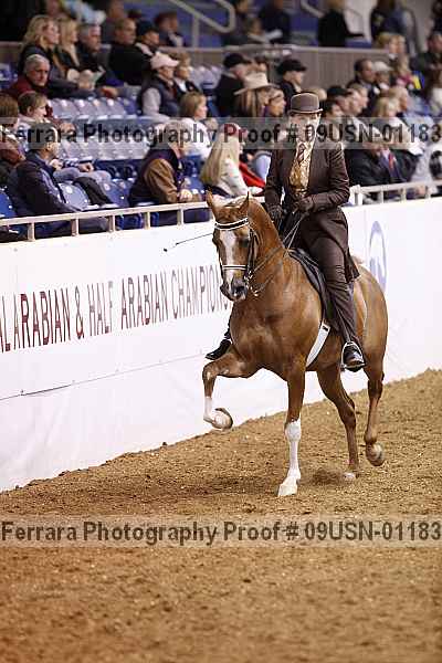 Proof 09usn-01183