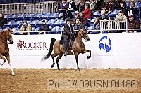 09usn-01186 proof