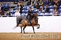 09usn-01187 proof