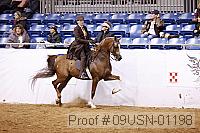 09usn-01198 proof