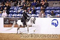 09usn-01202 proof
