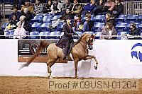 09usn-01204 proof