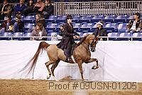 09usn-01205 proof