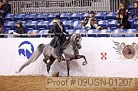 09usn-01207 proof