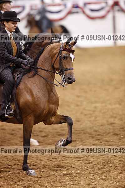 Proof 09usn-01242