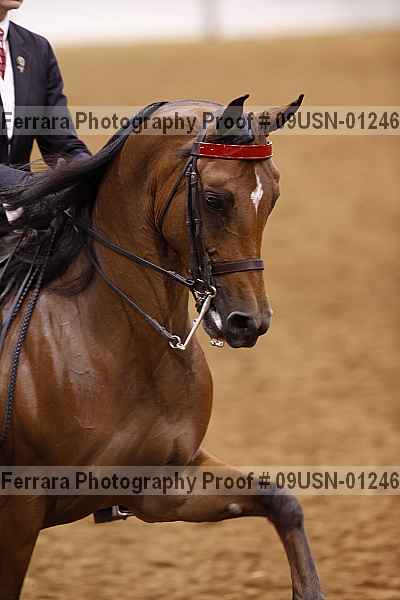 Proof 09usn-01246