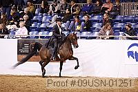 09usn-01251 proof