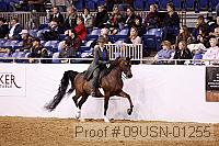 09usn-01255 proof