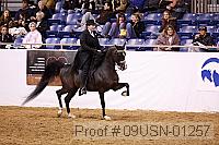 09usn-01257 proof