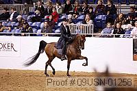 09usn-01258 proof