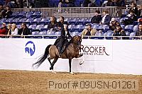 09usn-01261 proof