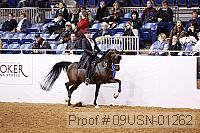 09usn-01262 proof
