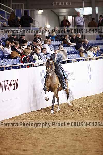 Proof 09usn-01264