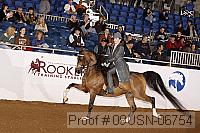 09usn-06754 proof