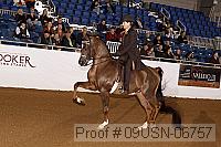 09usn-06757 proof