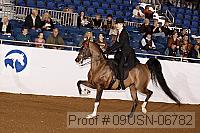 09usn-06782 proof