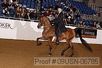 09usn-06785 proof