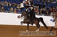 09usn-06796 proof