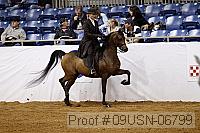 09usn-06799 proof