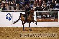 09usn-06801 proof
