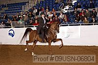 09usn-06804 proof